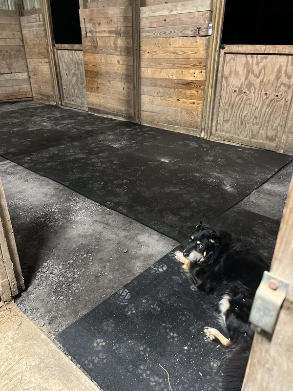 Working on the double stall.