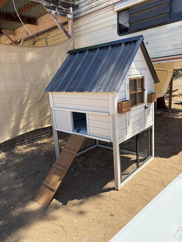 Coop was built