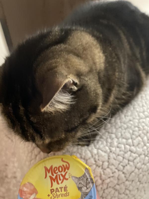 Ready for my Meow Mix!!