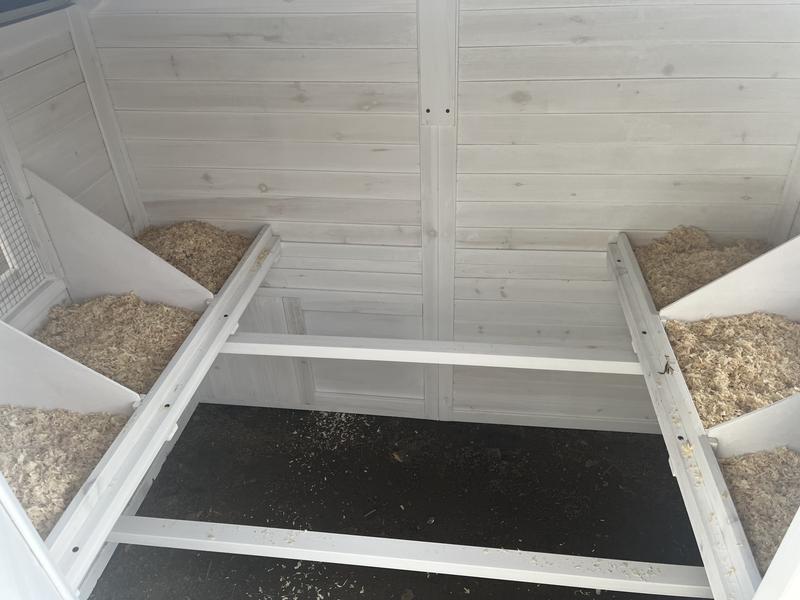 No floor but plenty of nesting boxes