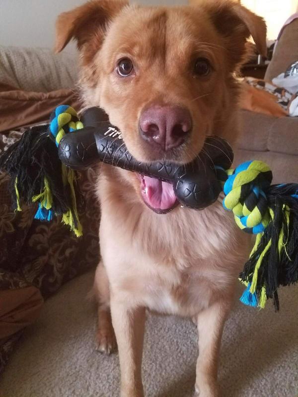 Tallulah and her toy.