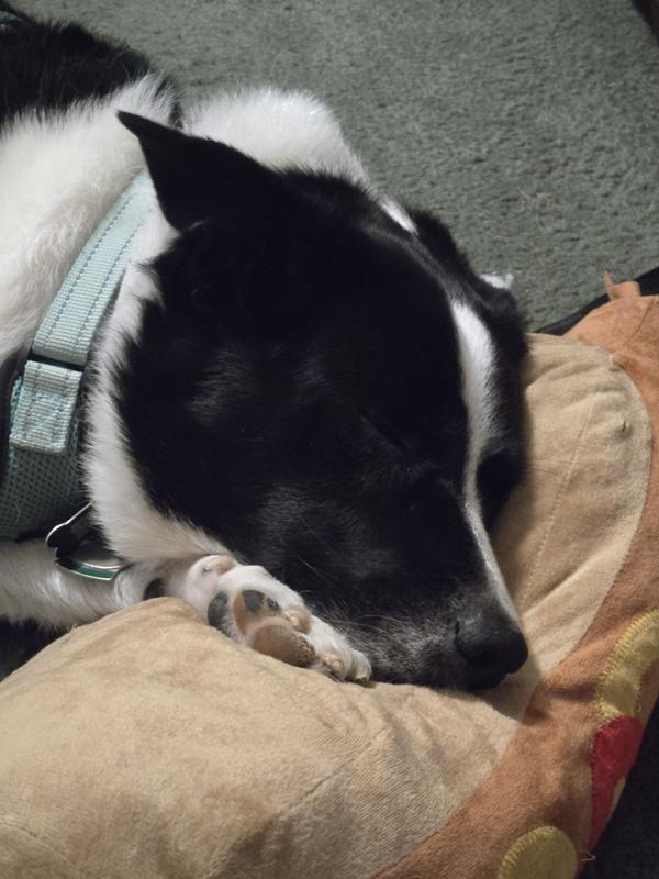 Review photo 1.