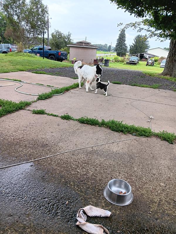 Abby & Delilah