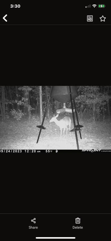Feeder up and deer eating out of it