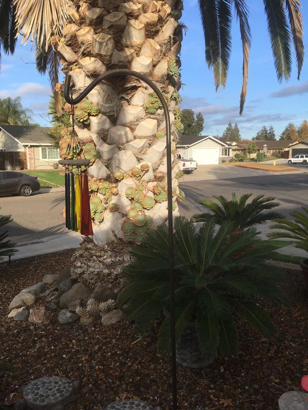 Shepherd Crook with my wind chime!