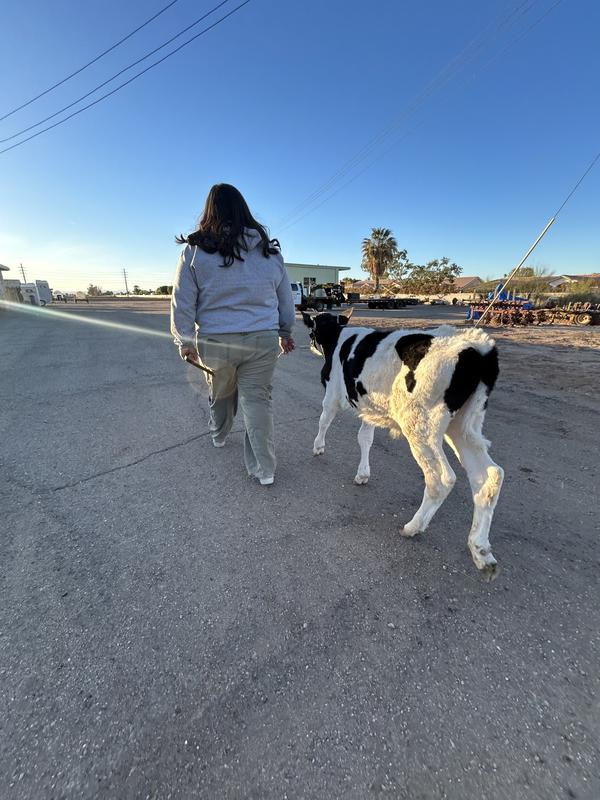 Me walking calf