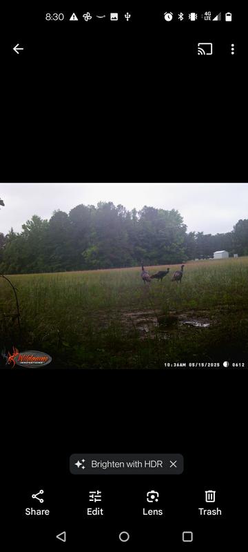 Mineral block site area