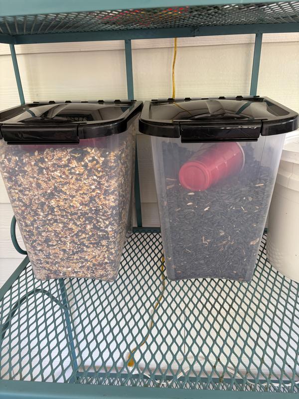 Two Boxes Fully Involved