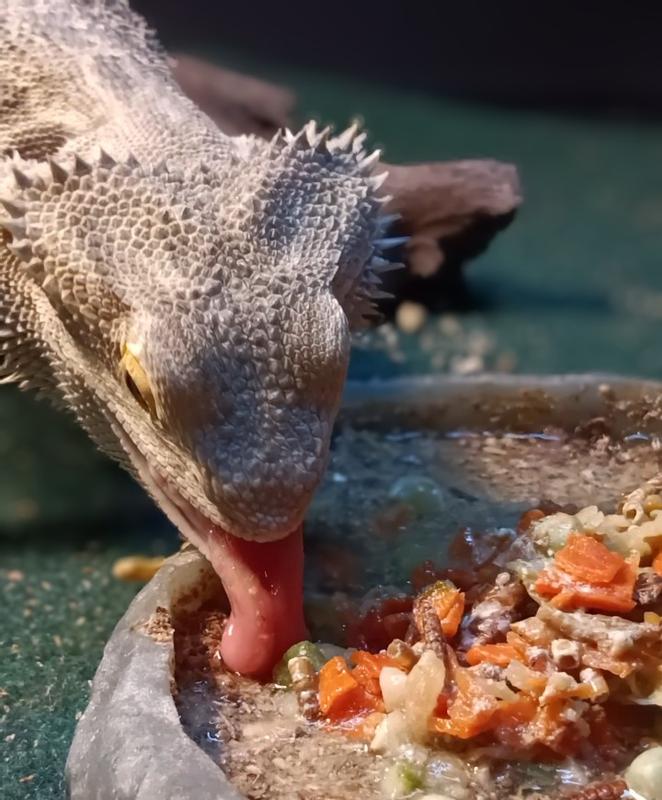 No crumbs