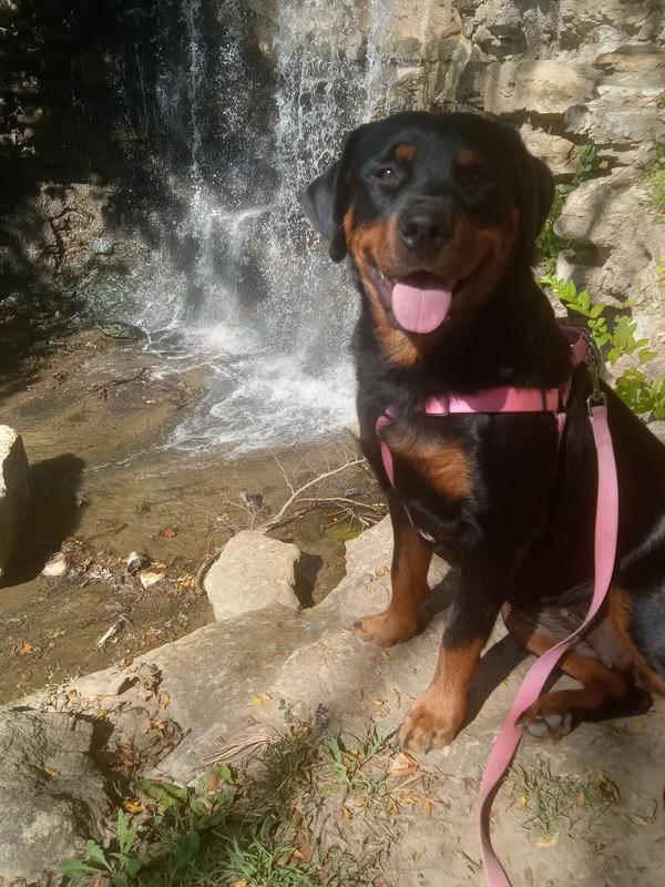 Don't go chasing waterfalls, or do