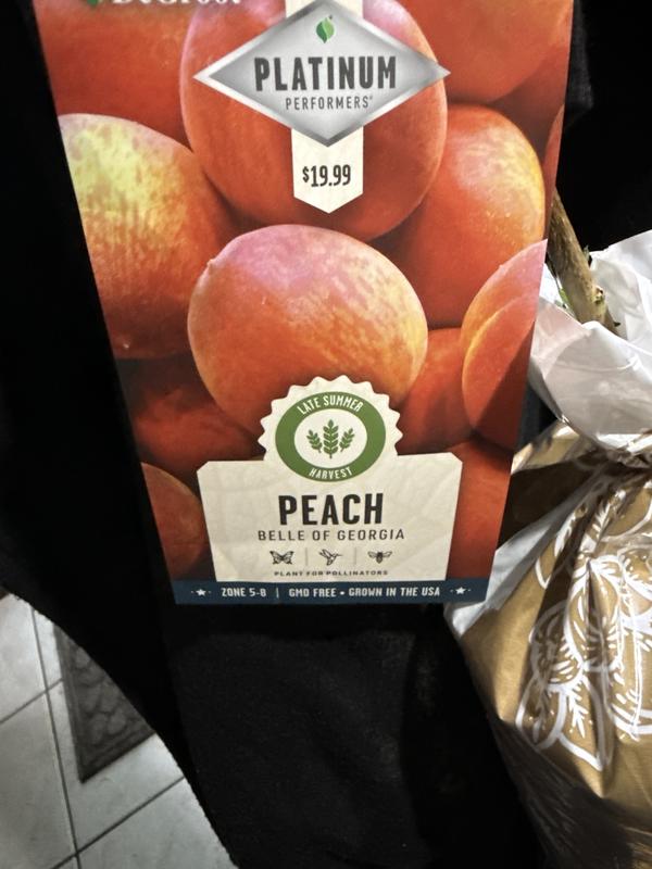Switched my order