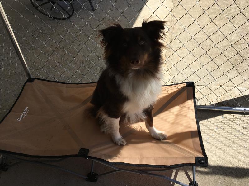 I love my new bed!