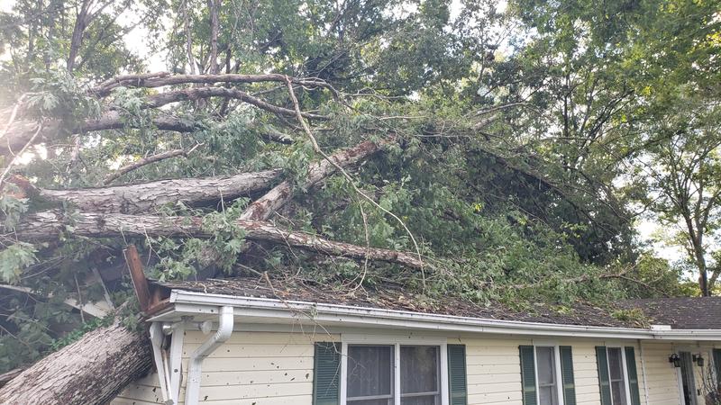 Neighbor lady's house