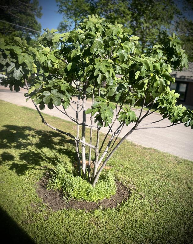 Oct 2025 and April 2026