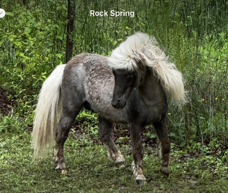 Patrick and dad(Fox)