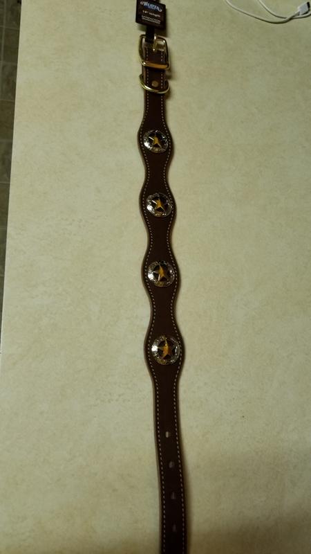 New collar