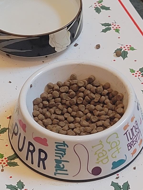 I just feel the bowl twice a day and they self-regulate their eating.