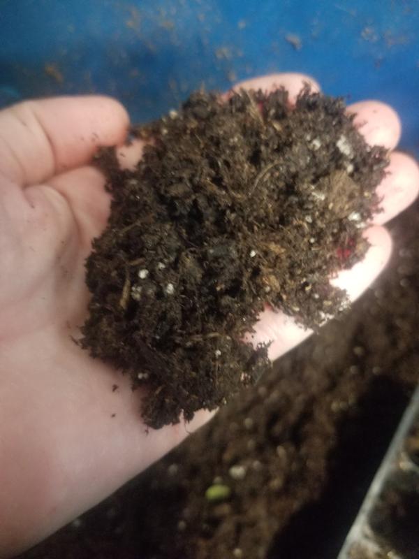 nice fluffy soil