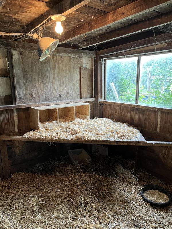 pads are inside nesting boxes, perfect fit