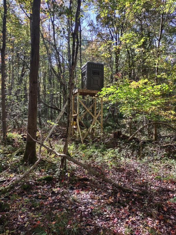 Raised Outta site blind