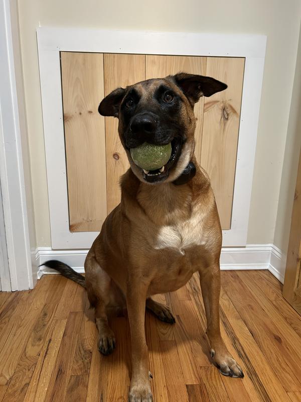 toys for the boy