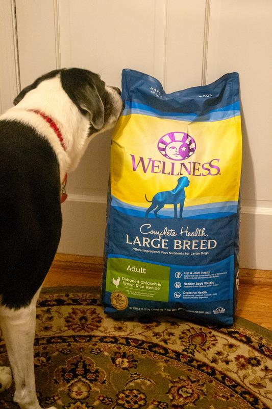 Wellness complete best sale health large breed