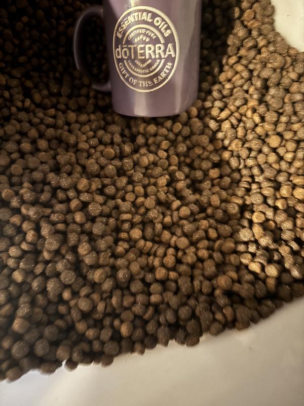 Review photo 2.
