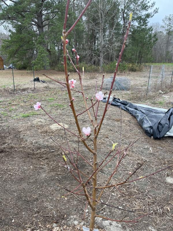 In the ground day 1 of getting