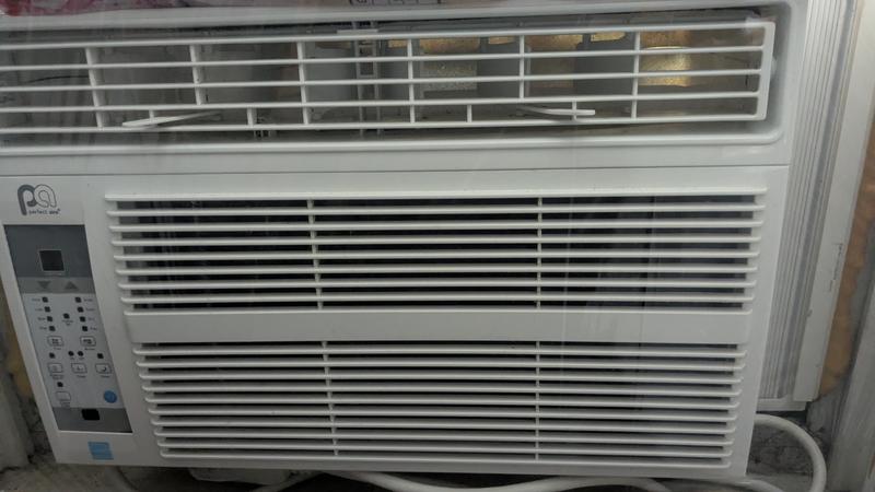 Sad it died so young.