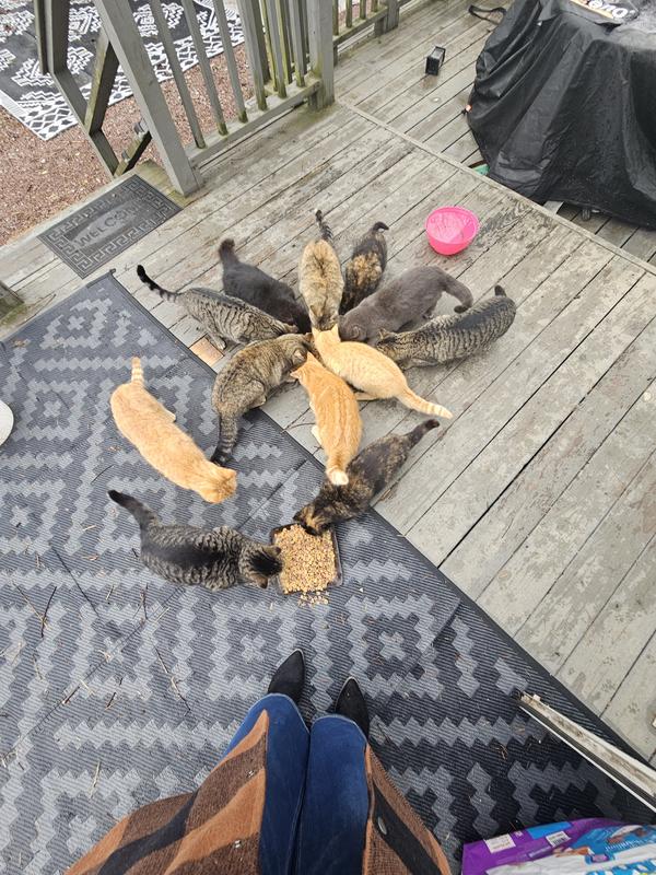 They love Tasty Treasures