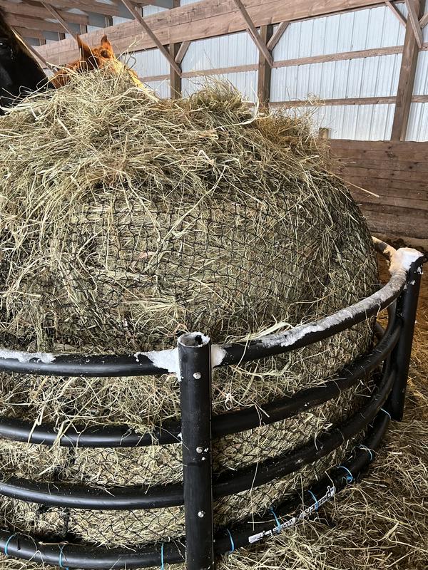 Century Feeder with hay net