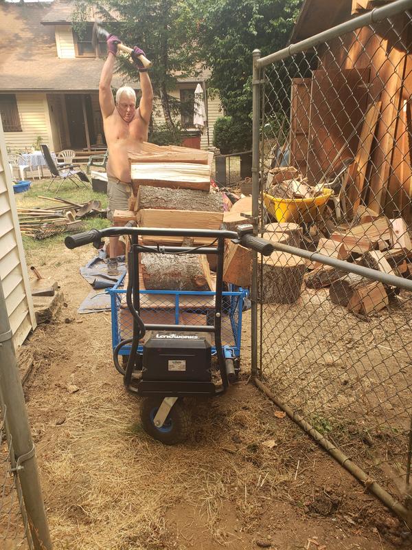 Woody,  hard at work! Look how much he hauls!