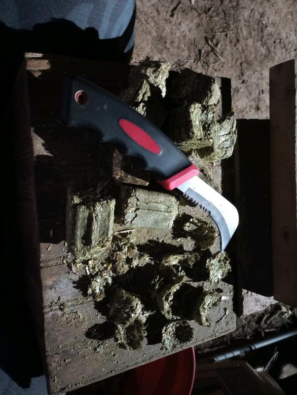 Since it's made for horses, I have to break it up for my goats.