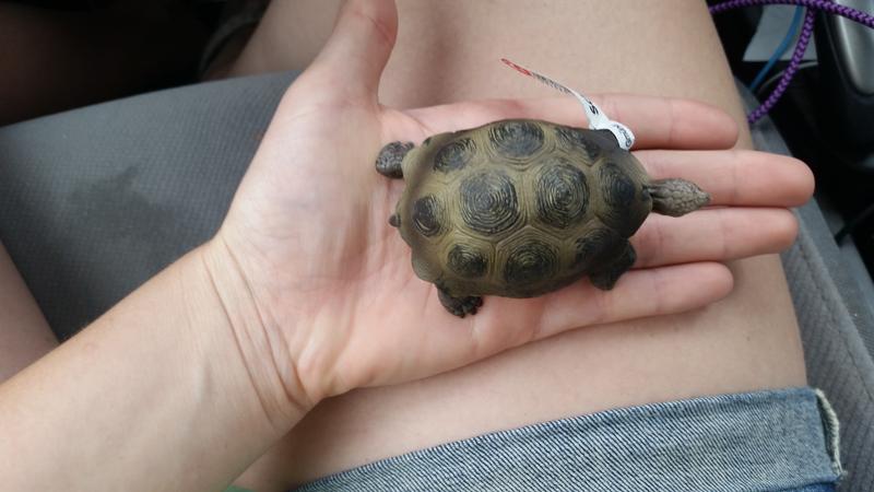 Tiny