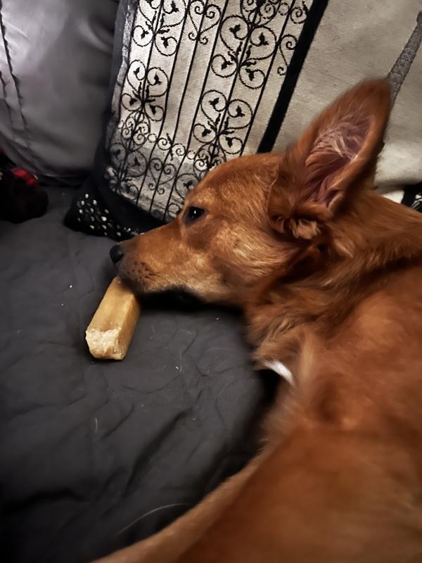 Loves it so much, he's gotta sleep with it!