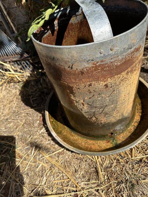 Rusted waterer.