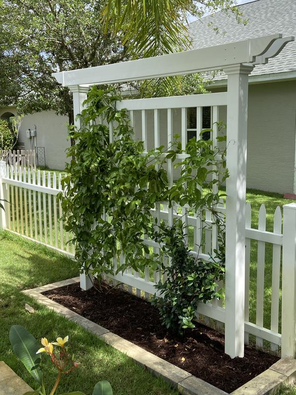 Camden Trellis