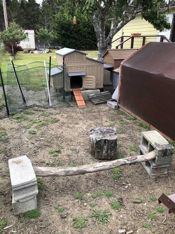 Up on blocks with a ramp added