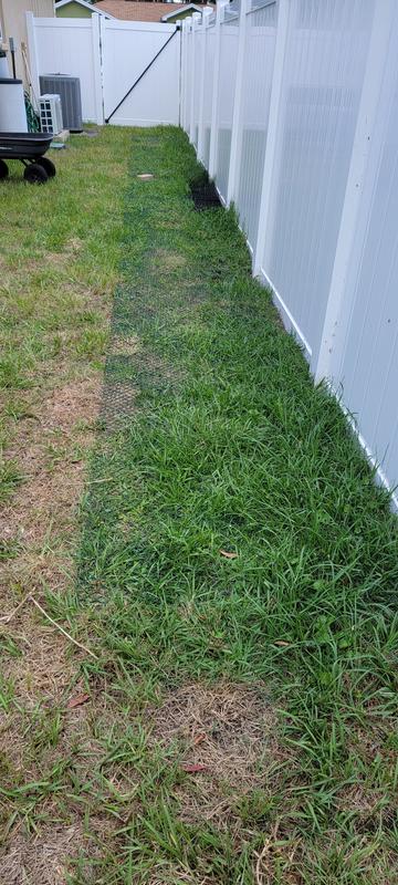 2 weeks after install