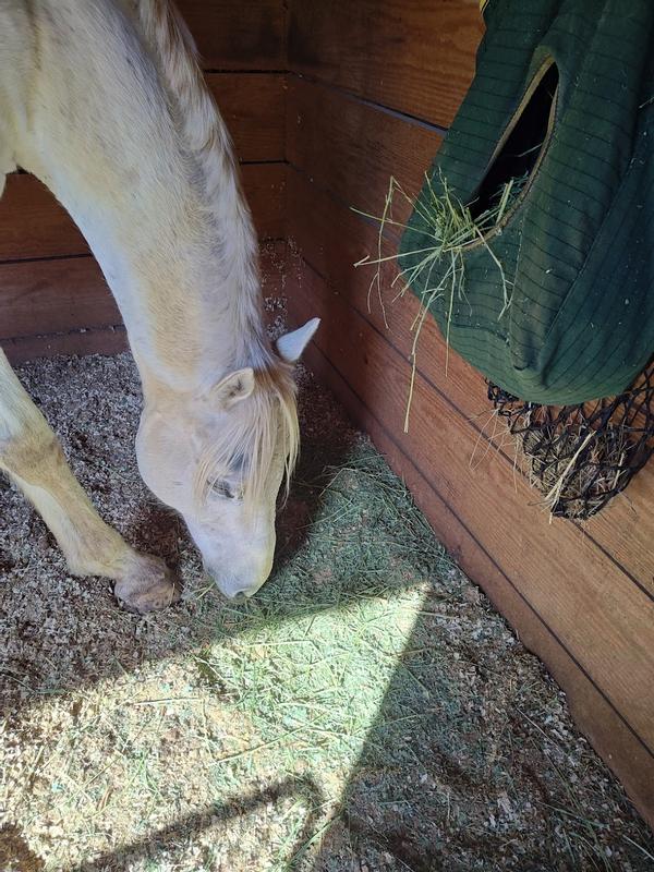 He loves it, but a lot of leaves fall off.