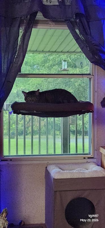 bird watching
