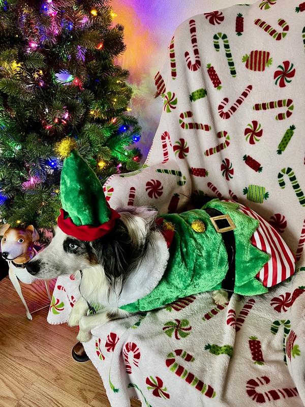 Pearl waiting on Santa to arrive