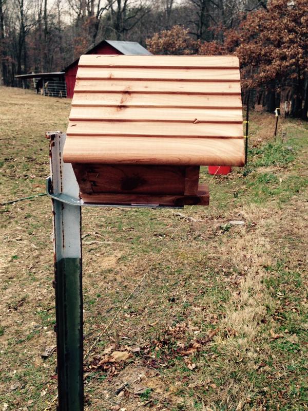 Hang a Bird House!!!