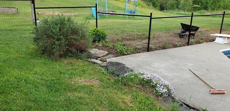 Pool Fence