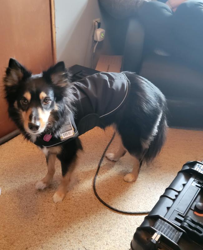 First wear of new vest!