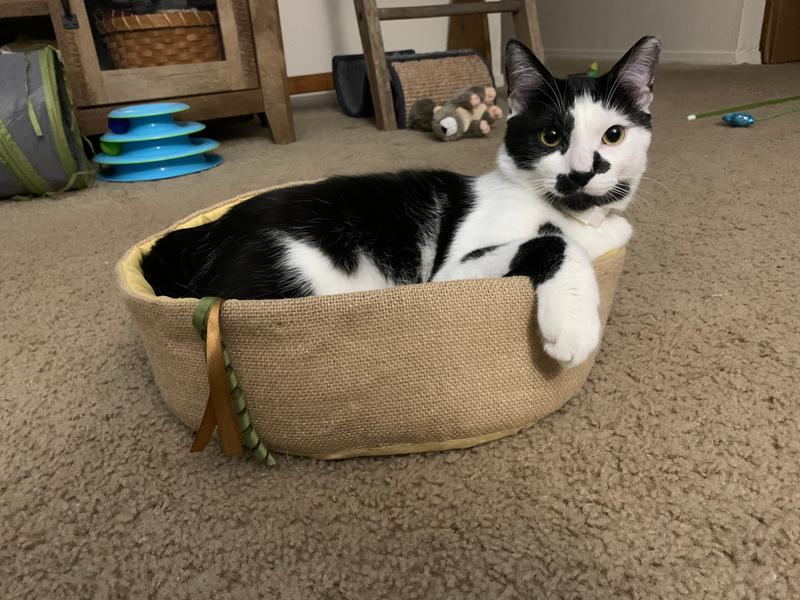 Fred and his new toy