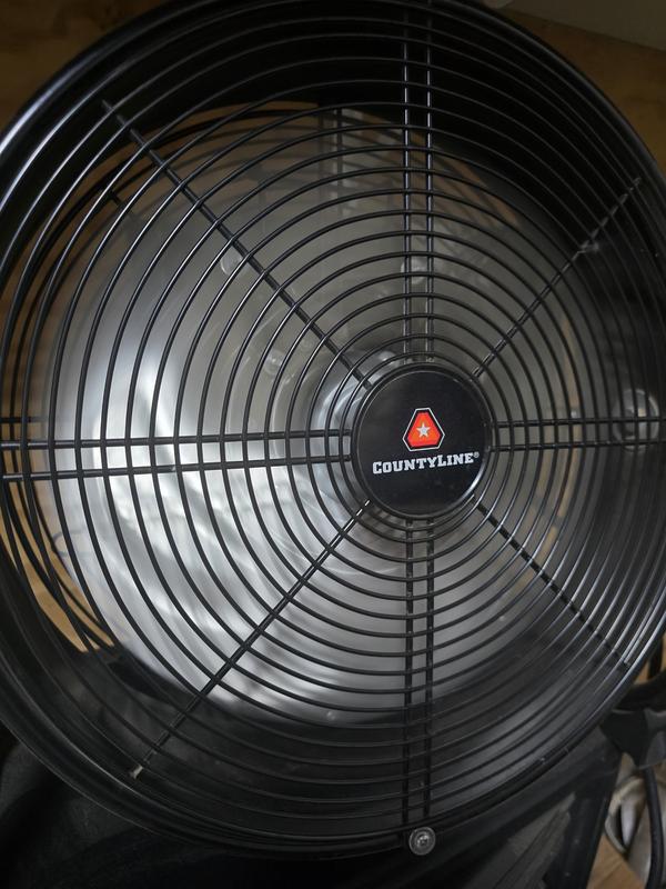 Mike's Fan, he has three... Lucky puppy