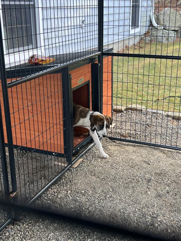Retriever Lodge-Style Outdoor Wooden Dog House with Steel Frame at ...