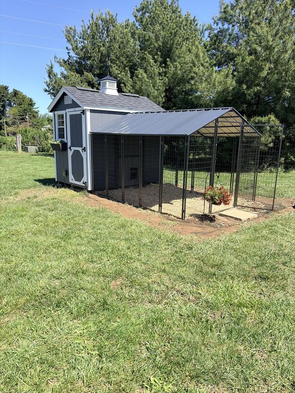 Veikous 8x10 chicken run