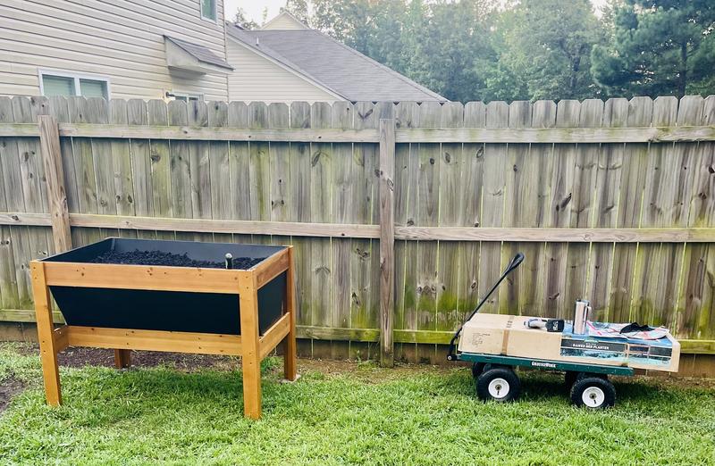 Cart loaded, no sides